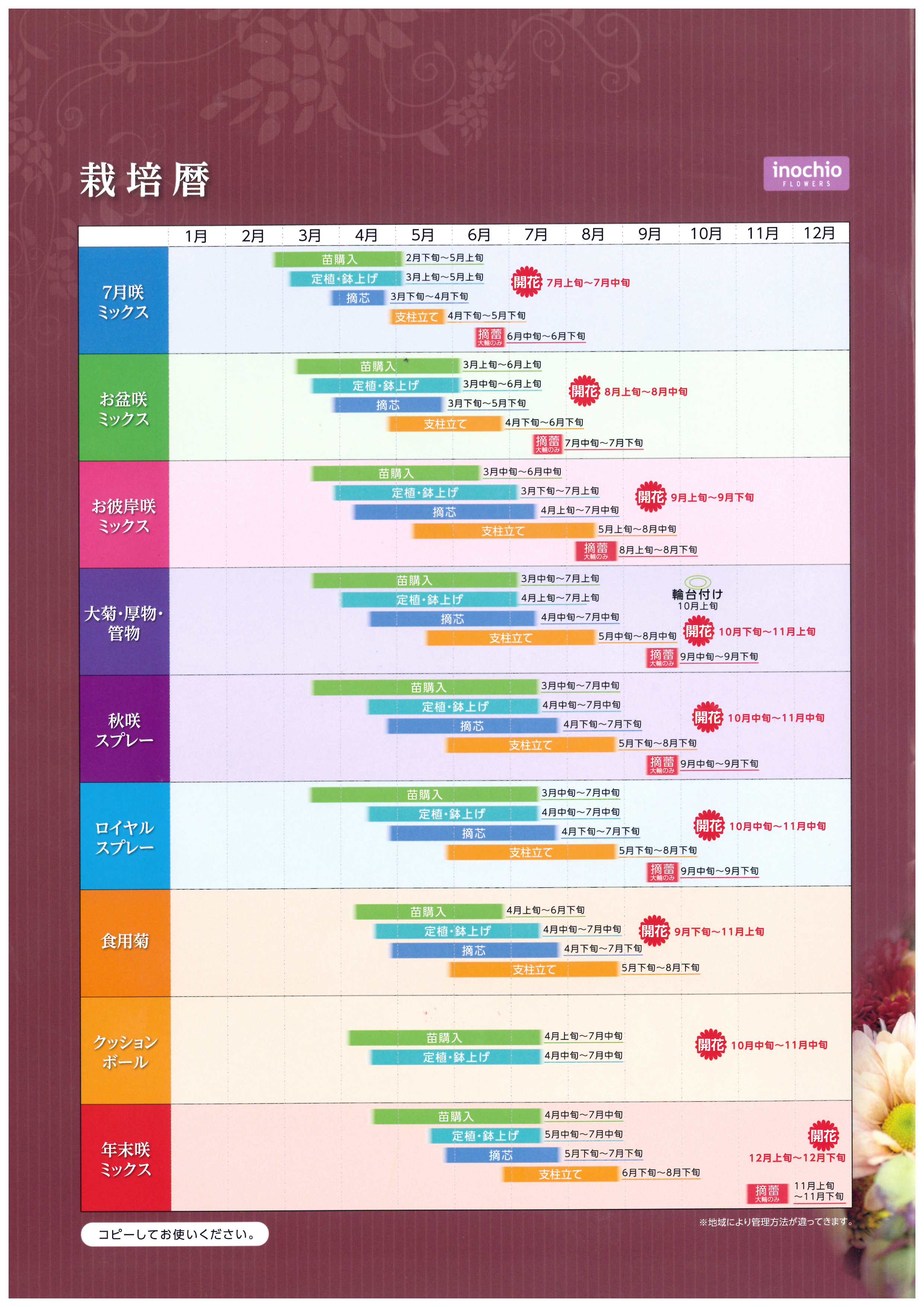 栽培カレンダー 菊の育種 種苗販売 イノチオ精興園
