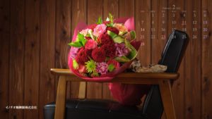 21年2月のカレンダー壁紙を配信しました 菊の育種 種苗販売 イノチオ精興園 21年2月のカレンダー壁紙を配信しました 菊の育種 種苗販売 イノチオ精興園